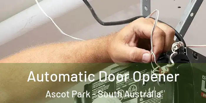 Automatic Door Opener Ascot Park - South Australia
