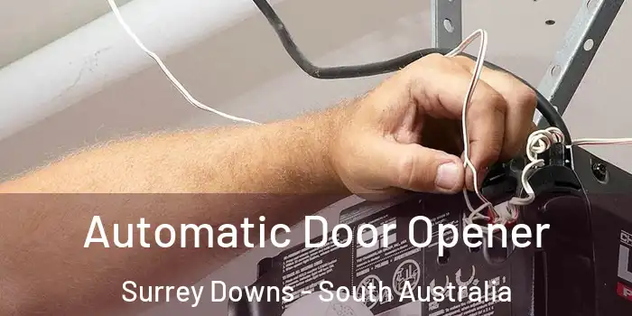 Automatic Door Opener Surrey Downs - South Australia