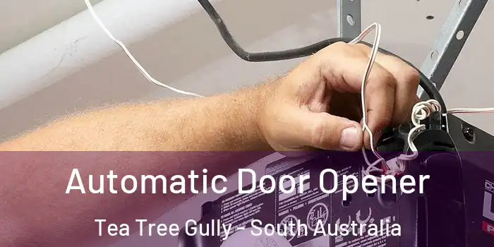 Automatic Door Opener Tea Tree Gully - South Australia