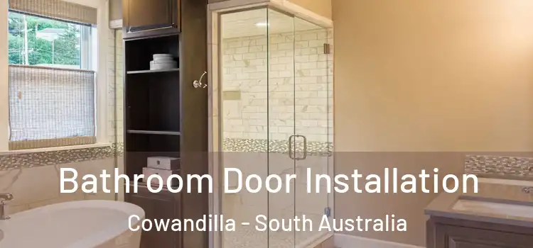 Bathroom Door Installation Cowandilla - South Australia