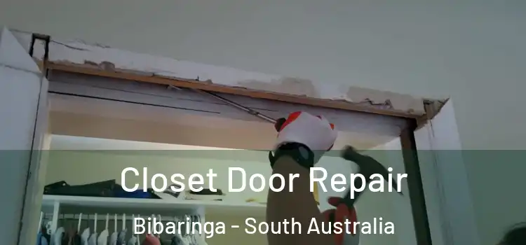 Closet Door Repair Bibaringa - South Australia