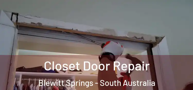 Closet Door Repair Blewitt Springs - South Australia