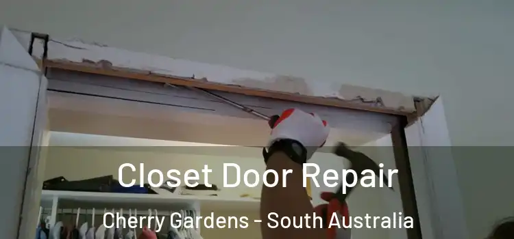 Closet Door Repair Cherry Gardens - South Australia