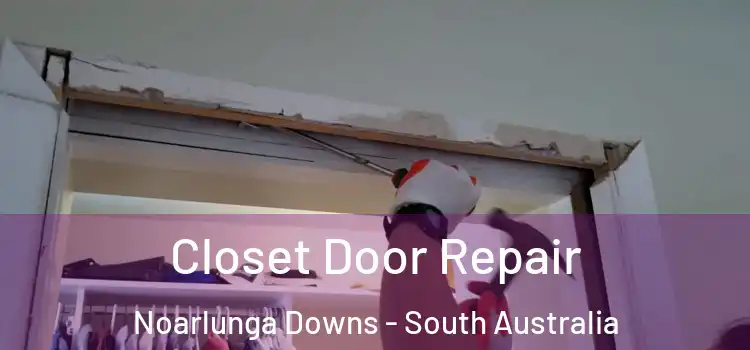 Closet Door Repair Noarlunga Downs - South Australia