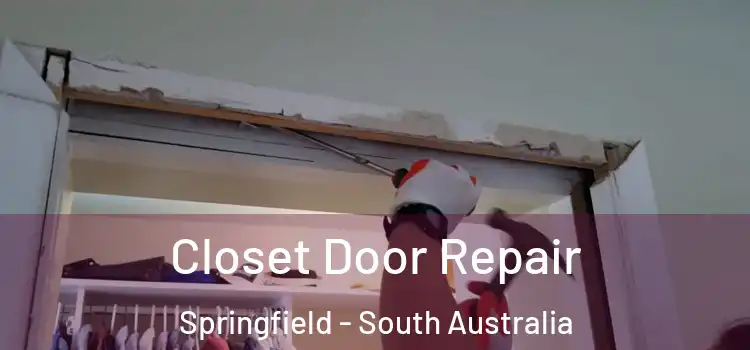 Closet Door Repair Springfield - South Australia