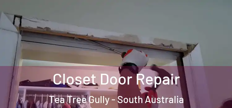 Closet Door Repair Tea Tree Gully - South Australia