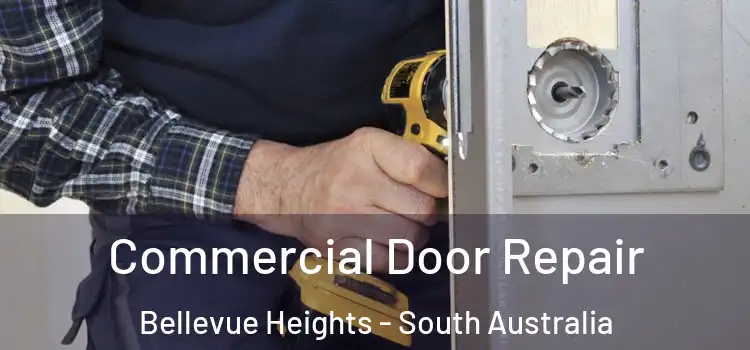 Commercial Door Repair Bellevue Heights - South Australia
