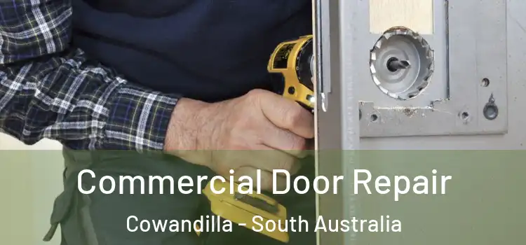 Commercial Door Repair Cowandilla - South Australia