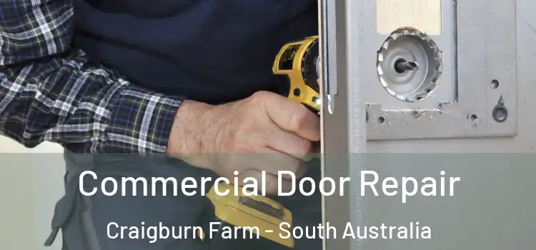 Commercial Door Repair Craigburn Farm - South Australia