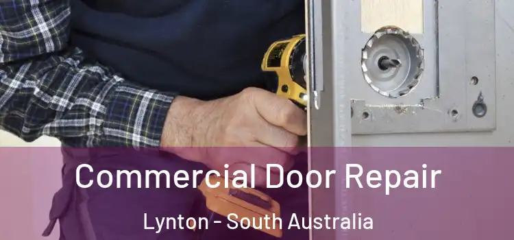 Commercial Door Repair Lynton - South Australia