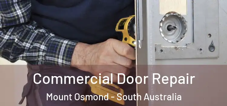 Commercial Door Repair Mount Osmond - South Australia