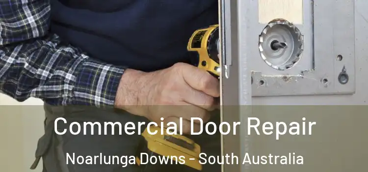 Commercial Door Repair Noarlunga Downs - South Australia