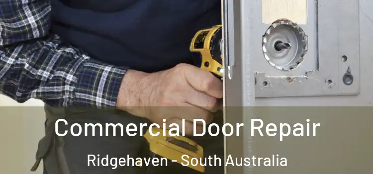 Commercial Door Repair Ridgehaven - South Australia