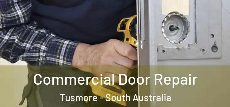 Commercial Door Repair Tusmore - South Australia