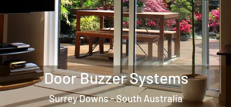 Door Buzzer Systems Surrey Downs - South Australia