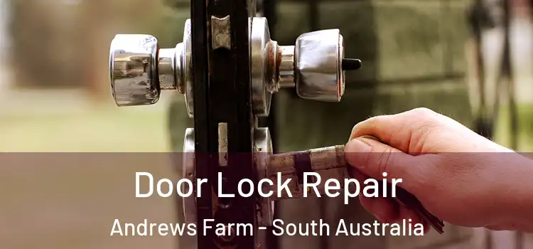 Door Lock Repair Andrews Farm - South Australia