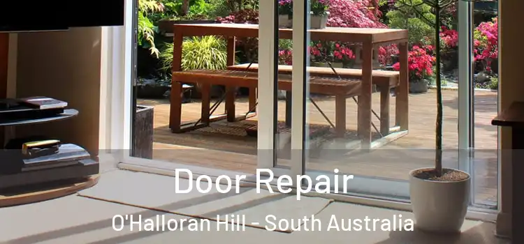 Door Repair O'Halloran Hill - South Australia