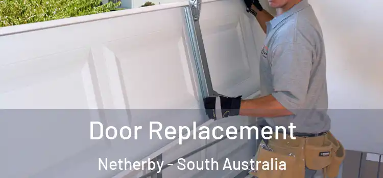 Door Replacement Netherby - South Australia