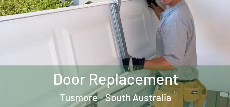 Door Replacement Tusmore - South Australia