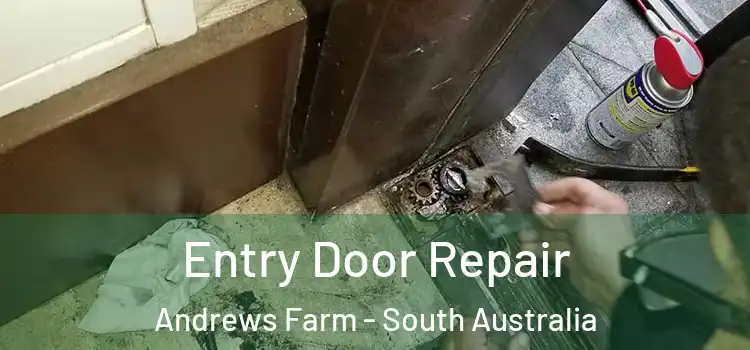 Entry Door Repair Andrews Farm - South Australia
