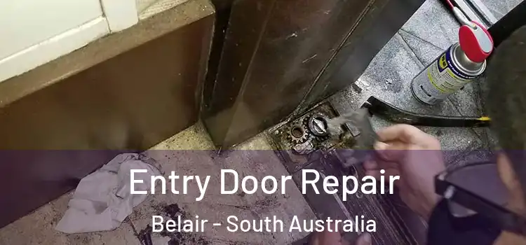 Entry Door Repair Belair - South Australia