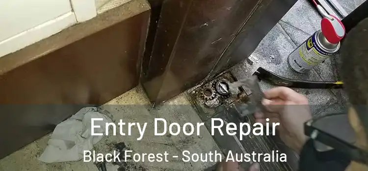 Entry Door Repair Black Forest - South Australia
