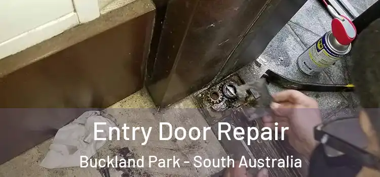 Entry Door Repair Buckland Park - South Australia