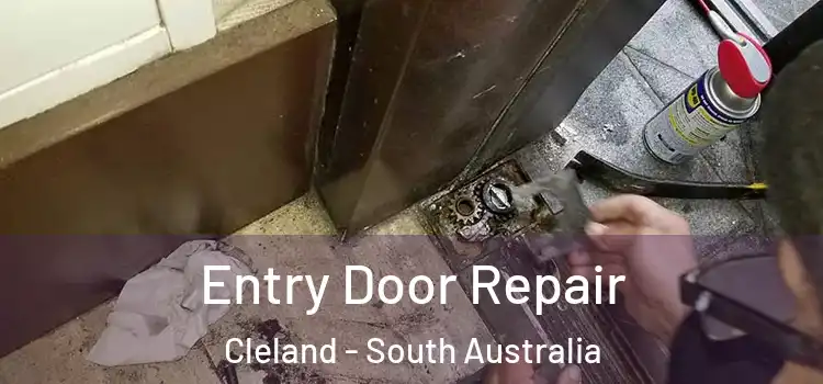 Entry Door Repair Cleland - South Australia