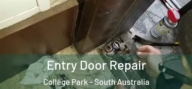 Entry Door Repair College Park - South Australia