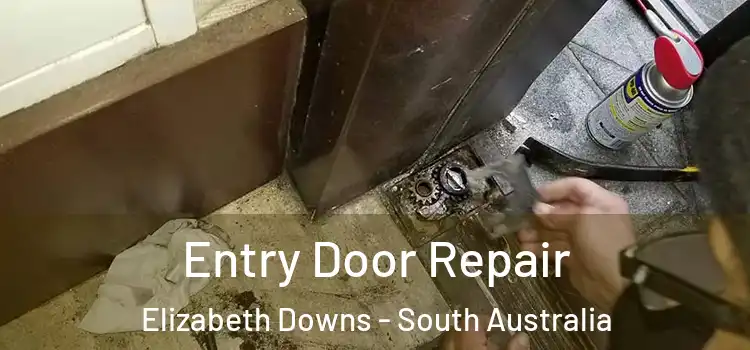 Entry Door Repair Elizabeth Downs - South Australia