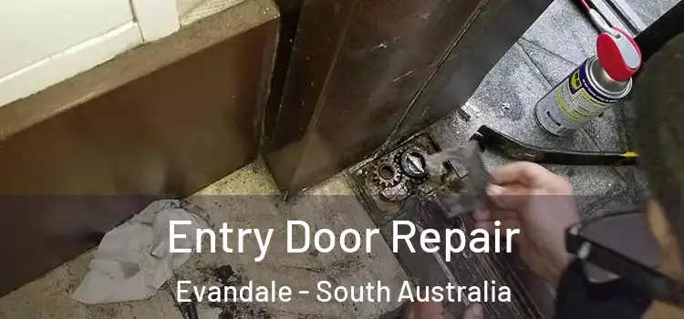 Entry Door Repair Evandale - South Australia