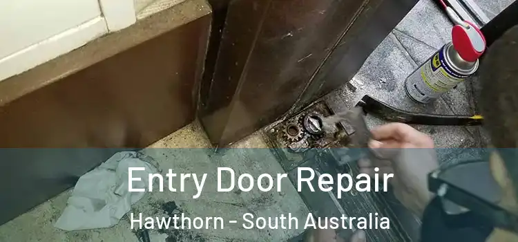 Entry Door Repair Hawthorn - South Australia