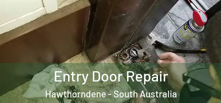 Entry Door Repair Hawthorndene - South Australia