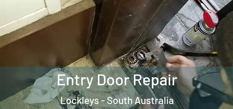 Entry Door Repair Lockleys - South Australia