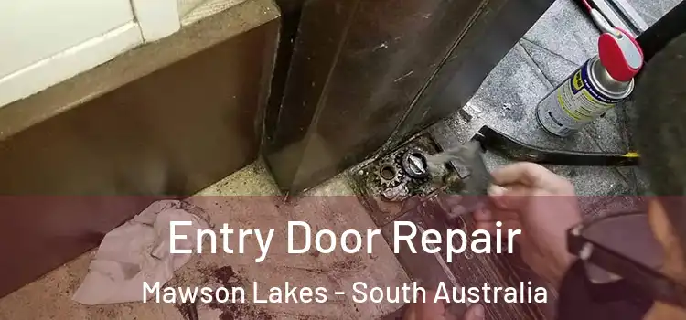 Entry Door Repair Mawson Lakes - South Australia