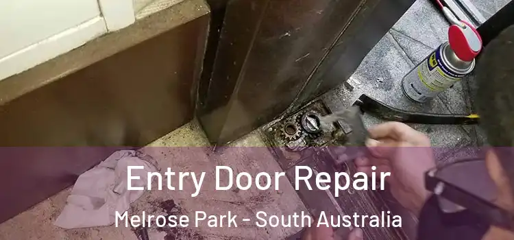 Entry Door Repair Melrose Park - South Australia
