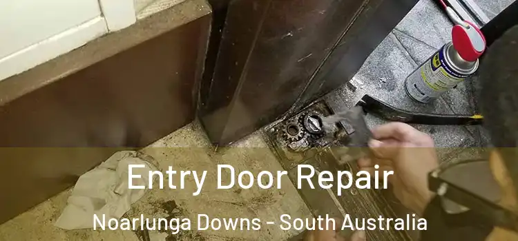 Entry Door Repair Noarlunga Downs - South Australia