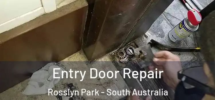 Entry Door Repair Rosslyn Park - South Australia