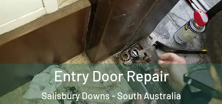 Entry Door Repair Salisbury Downs - South Australia