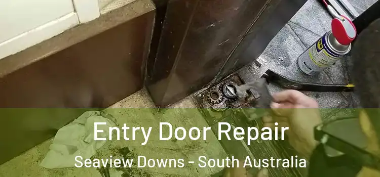 Entry Door Repair Seaview Downs - South Australia