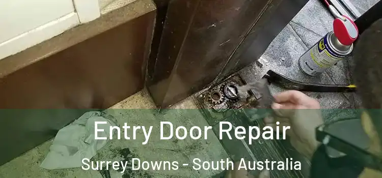 Entry Door Repair Surrey Downs - South Australia