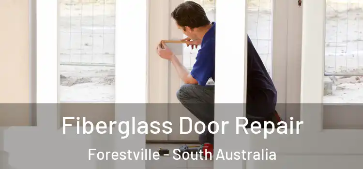 Fiberglass Door Repair Forestville - South Australia