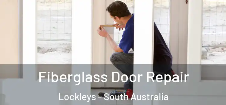 Fiberglass Door Repair Lockleys - South Australia