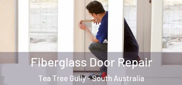 Fiberglass Door Repair Tea Tree Gully - South Australia