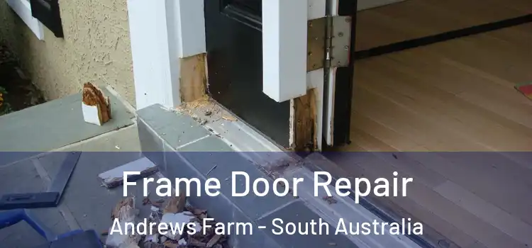 Frame Door Repair Andrews Farm - South Australia
