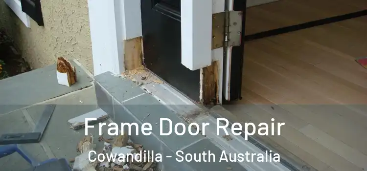 Frame Door Repair Cowandilla - South Australia