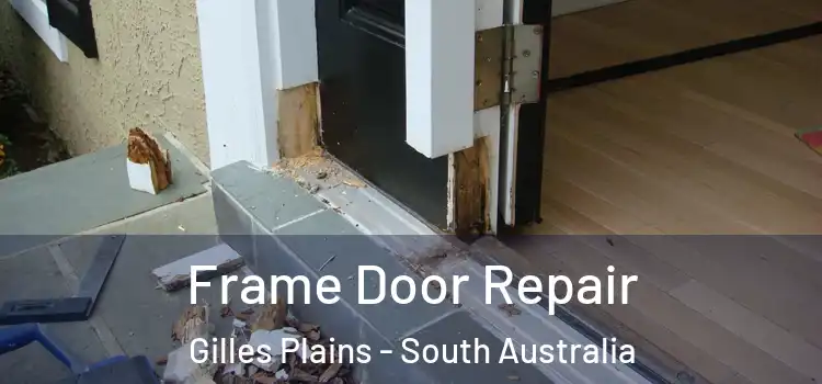 Frame Door Repair Gilles Plains - South Australia