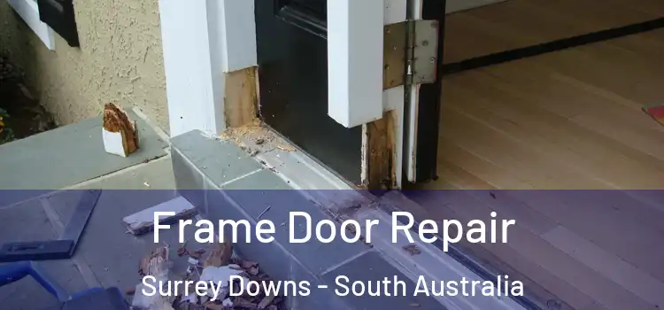 Frame Door Repair Surrey Downs - South Australia