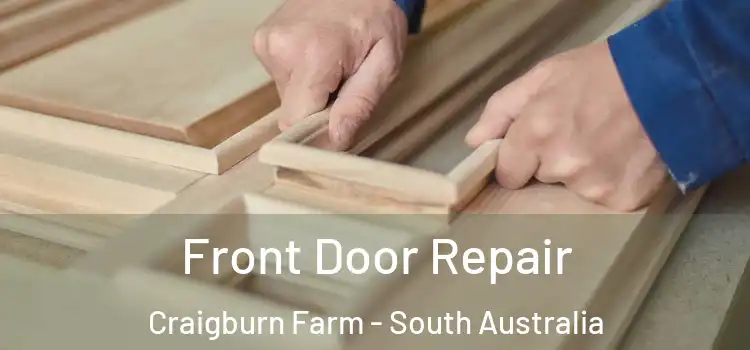 Front Door Repair Craigburn Farm - South Australia