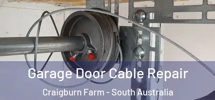 Garage Door Cable Repair Craigburn Farm - South Australia